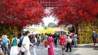 TP Hồ Chí Minh: Tràn ngập sắc xuân đón Tết cổ truyền Ất Tỵ 2025