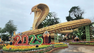 Linh vật rắn Phú Yên “Vươn ra biển lớn trong thời kỳ hội nhập”