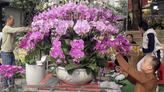 Nghề hốt bạc dịp cận Tết