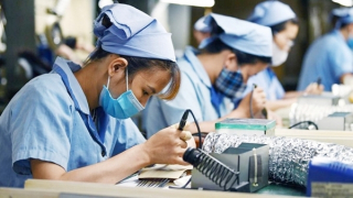 Nhiều tín hiệu tích cực trong thưởng Tết 2025 dù còn khó khăn