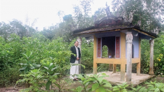 Đầu năm Ất Tỵ nghe kể chuyện dân làng lập miếu thờ thần rắn