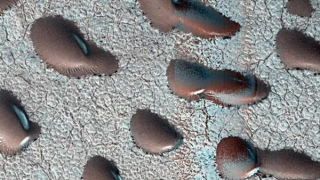 Những “hạt đậu đỏ” bí ẩn trên sao Hỏa