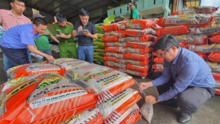 Cặp vợ chồng doanh nhân sản xuất hàng nghìn tấn phân bón giả