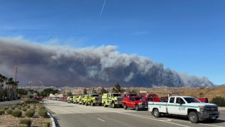 Lại cháy rừng ở Los Angeles, lan rộng 2.000 ha trong hai giờ