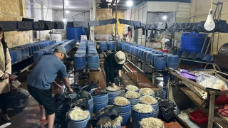 Sản xuất thần tốc nửa tấn giá đỗ bằng chất cấm mỗi ngày