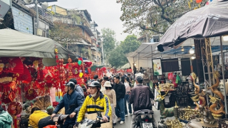 Nhộn nhịp chợ hoa xuân phố Hàng Lược