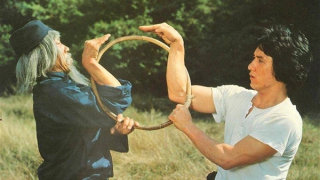 Xà quyền công phu ẩn hiện trong võ thuật