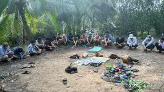 Triệt xóa sới bạc nằm sâu trong vườn cam