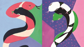 Năm Tỵ, tản mạn chuyện rắn