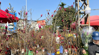 Ngày 28 Tết: Chợ hoa tấp nập, thực phẩm bình ổn giá