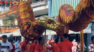 Rộn ràng những màn múa lân ngày Tết