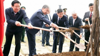 Tổng Bí thư Tô Lâm dự Lễ phát động Tết trồng cây “Đời đời nhớ ơn Bác Hồ”