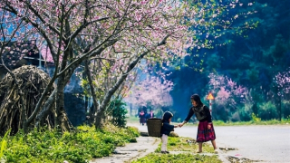 Ba miền nắng đẹp ngày mùng 4 Tết, Hà Nội sáng và đêm trời rét