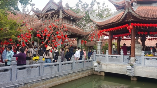 Khách du lịch tăng cao trong dịp Tết Nguyên đán 2025