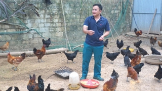 Tín dụng chính sách đưa đường “Đảng viên đi trước”