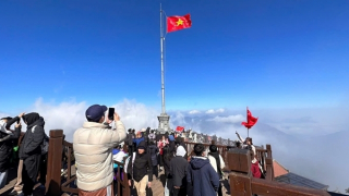 Tết Ất Tỵ 2025 và những con số tăng trưởng du lịch nổi bật