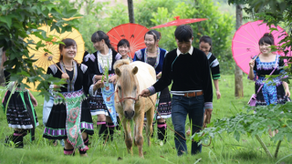 Hội tụ “Sắc xuân trên mọi miền Tổ quốc” tại Làng Văn hoá – Du lịch các dân tộc Việt Nam