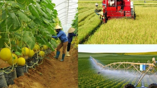 Đề xuất miễn tiền thuê đất lên tới 15 năm cho dự án đầu tư nông nghiệp