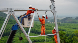 Thủ tướng phê duyệt chủ trương đầu tư dự án truyền tải điện hơn 650 tỷ đồng