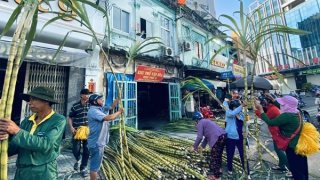 Sôi động chợ mía vàng cúng “vía” Ngọc Hoàng