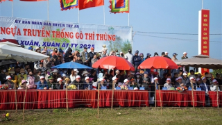 Sôi nổi Lễ hội đua ngựa gò Thì Thùng