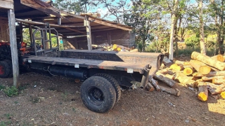 Điều tra vụ phá rừng quy mô lớn ở Đắk Nông