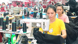 Sau Tết, hoạt động xuất nhập khẩu khởi sắc trở lại