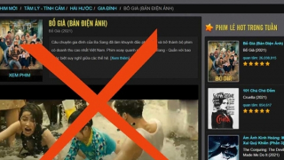 Chủ website Fmovies phát tán phim lậu kiếm lợi hàng trăm nghìn USD