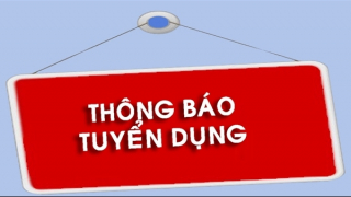 Thông báo tuyển dụng