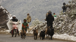 Miền Bắc rét đậm rét hại, Hà Nội thấp nhất 10 độ C