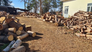 Chuyển Công an tỉnh điều tra vụ phá rừng quy mô lớn ở Đắk Nông