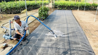 Các tỉnh đồng bằng sông Cửu Long tích cực phòng, chống xâm nhập mặn