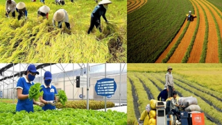 Đề xuất tăng mức cho vay không cần tài sản bảo đảm với tín dụng phục vụ phát triển nông nghiệp