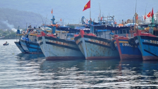 Tàu cá vi phạm sẽ bị phạt tiền "kịch khung" nếu có 2 tình tiết tăng nặng