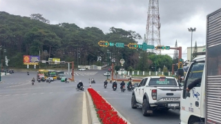 Qua camera, phát hiện nhiều ôtô vượt đèn đỏ ở Đà Lạt