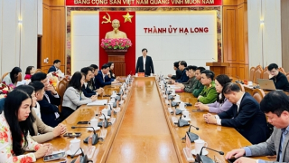 12 cán bộ lãnh đạo ở TP Hạ Long xin nghỉ hưu trước thời hạn