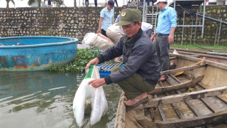 Kéo ngư dân cùng tham gia bảo vệ nguồn lợi thủy sản đầm Trà Ổ