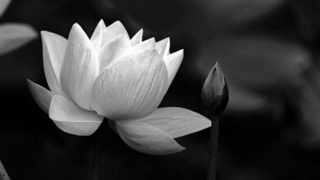 Tin buồn: Chuẩn Đô đốc Trần Khoái từ trần