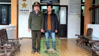 Người dân giao nộp nhiều động vật quý hiếm có tên trong Sách đỏ