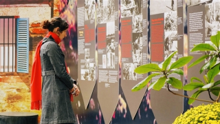 Những cây bàng hiên ngang trong ngục Hỏa Lò