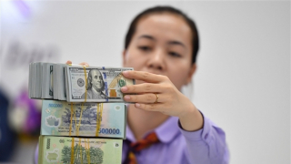 Giải pháp ứng phó với biến động tỷ giá