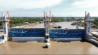 Vận hành tạm thời công trình ngăn mặn lớn nhất tỉnh Sóc Trăng