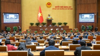 Quốc hội chính thức thông qua Luật Tổ chức Chính phủ (sửa đổi)