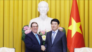 Chủ tịch nước Lương Cường tiếp Bộ trưởng Ngoại giao Cuba