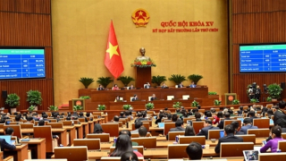 Dự án điện hạt nhân Ninh Thuận được áp dụng các cơ chế, chính sách đặc biệt