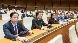 UBND thành phố được quyết định các hình thức chỉ định thầu khi xây dựng hệ thống mạng lưới đường sắt đô thị