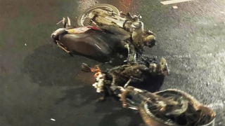 Xe máy chạy vào làn ô tô trên cầu Nhật Tân bị tông tử vong