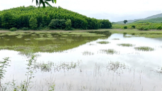 Nam thanh niên hái chanh kịp thời cứu sống hai phụ nữ bị đuối nước