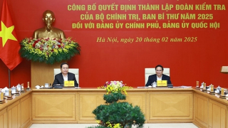 Công bố quyết định thành lập Đoàn kiểm tra đối với Đảng ủy Chính phủ, Đảng ủy Quốc hội