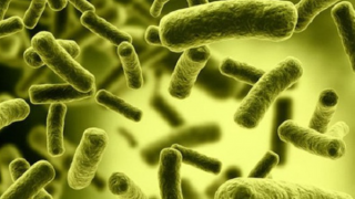 Cảnh báo nguy cơ ngộ độc Botulinum trên địa bàn tỉnh Kon Tum